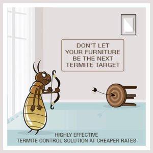 Termite Control