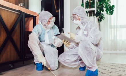 Essential Safety Measures to Consider Before Hiring Termite Control Services