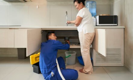 How Frequently Should You Schedule Termite Inspections for Your Home?