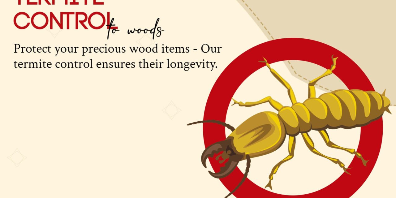 Termite Treatment in Vadodara