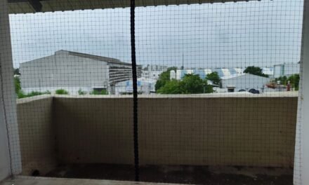 DK BIRD NETTING AND INVISIBLE GRILL IN VADODARA
